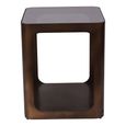 Thorpe Side Table - Bronze Glass and Metal - Square