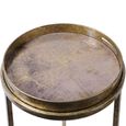 Vienna Side Tray Table - Gold Atlas Metal - Round - Set of 2