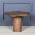 Puddle Mango Wood Side Table - Brown