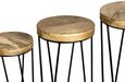 Ravi Mango Wood Set of 3 Round Stools
