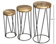 Ravi Mango Wood Set of 3 Round Stools