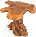 Tree Root Lamp Table