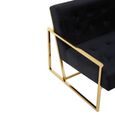 Azalea Sofa - 2 Seater - Black Velvet Fabric with Gold Metal Frame
