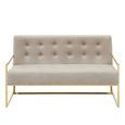 Azalea Sofa - 2 Seater - Mink Velvet Fabric with Gold Metal