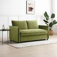 Blaire Sofa Bed - Athena Olive Velvet Fabric - 2 Seater