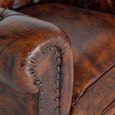Calistoga Armchair - Brown Leather Chester