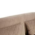 Fiji Sofa - 3 Seater - Grey Velvet Fabric