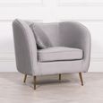 Occasional Armchair with Cushion - Grey Velvet