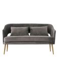Hendricks Sofa - 2 Seater - Grey Velvet Fabric