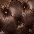 Hoxton Sofa - Chesterfield - 3 Seater - Brown Leather