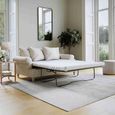 Narva Clay Fabric 2 Seater Pull Out Sofa Bed