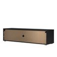 Media TV Unit - 2 Door - 1 Drawer - 147.2cm - Storage - Black