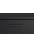 Media TV Unit - 2 Door - 1 Drawer - 147.2cm - Storage - Black