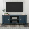 Harrogate TV Unit - 2 Door - Blue