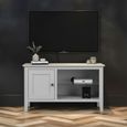 Stowe TV Unit - 1 Door - Grey