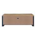 Clearance - Highgate TV Unit - 2 Door - Navy Blue Painted - A497