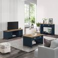 Clearance - Highgate TV Unit - 2 Door - Navy Blue Painted - A497