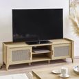 Clearance - Sydney TV Unit - 2 Door - Faux Rattan - FSS16496