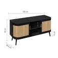 Noah Small TV Unit - 100cm - Black and Rattan