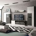 Zingaro TV Unit - 1 Door - 2 Drawer - 163cm - Grey and White