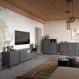 Avenale TV Cabinet - 2 Door - 1 Drawer - 207.8cm - Wide - Anthracite