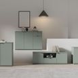 Ganymede TV Unit - 2 Door - 1 Drawer - 129.8cm - Sage Green