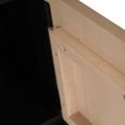 Boho TV Cabinet - 4 Door - 170cm - Large - Geometric Design - Natural and Black - Mango Wood