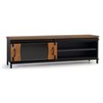 Brescia TV Unit - 1 Door - Mango Wood - Industrial Style