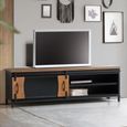 Brescia TV Unit - 1 Door - Mango Wood - Industrial Style