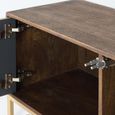 Caltan TV Unit - 2 Door - Walnut Mango Wood and Gold - Geometric