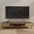 Scandic TV Unit - 2 Drawer - Large - Oak