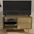 Scandic TV Unit - 2 Drawer - Small - Oak