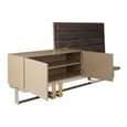 Demas TV Unit - 2 Door - Taupe with Wall Panel