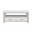 Greystone Reclaimed Wood TV Unit - 2 Drawer