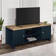 Highgate TV Unit - 2 Door - Navy Blue Painted