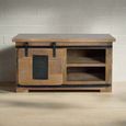 Iron Works TV Unit - Mango Wood - Storage - Small