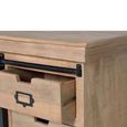 Irondale TV Unit - Mango Wood - Storage - Large
