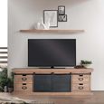 Irondale TV Unit - Mango Wood - Storage - Large