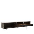 Jakara TV Unit - 2 Door - Black Wood