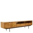 Jakara TV Unit - 2 Door - Natural Wood