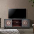Lytton TV Unit - Grey Carved Mango Wood - 2 Door
