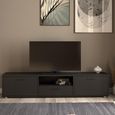 Media TV Unit - 2 Door - 1 Drawer - 177.2cm - Large - Black
