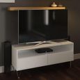 Montour White 2 Drawer TV Unit