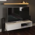 Montour White Sliding Door TV Unit
