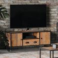 Ooki Reclaimed Wood TV Unit - 2 Door
