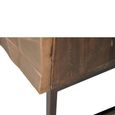 Pinole TV Unit - Copper Geometric - Mango Wood - 2 Door