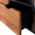 Rieti TV Unit - Industrial Style - Mango Wood - Storage - Large - 2 Door