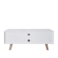 Shard 2 Door TV Unit - White and Oak