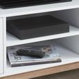 Shard 2 Door TV Unit - White and Oak
