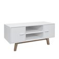 Shard 2 Door TV Unit - White and Oak